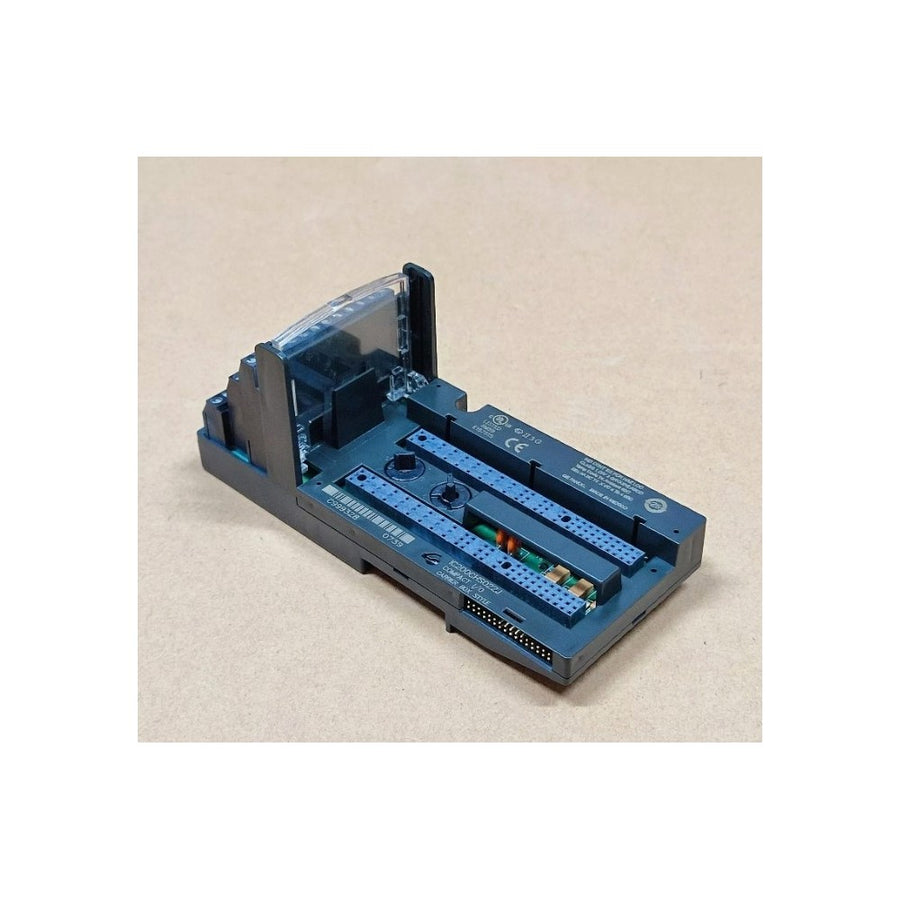 GE IC200CHS022J I/O Module product photo
